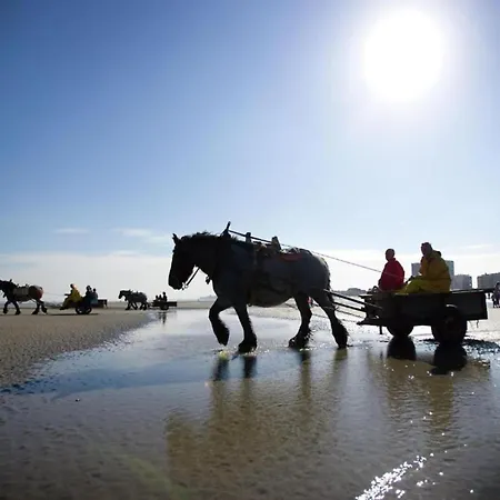 In Nieuwpoort, Cleaning Included Nieuwpoort