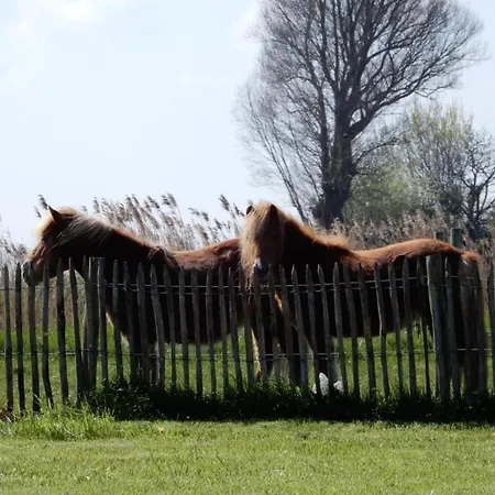 In Nieuwpoort, Cleaning Included *